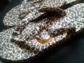 Oncinha com detalhe em metal Dourado